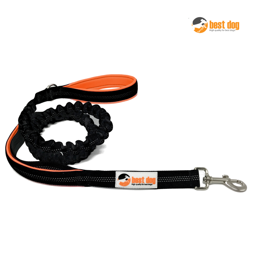 Elastische Hundeleine Mit Ruckdämpfer – 42 Cm (dehnbar Auf 57 Cm), Mit Reflektorstreifen, Für Mittlere/große Hunde